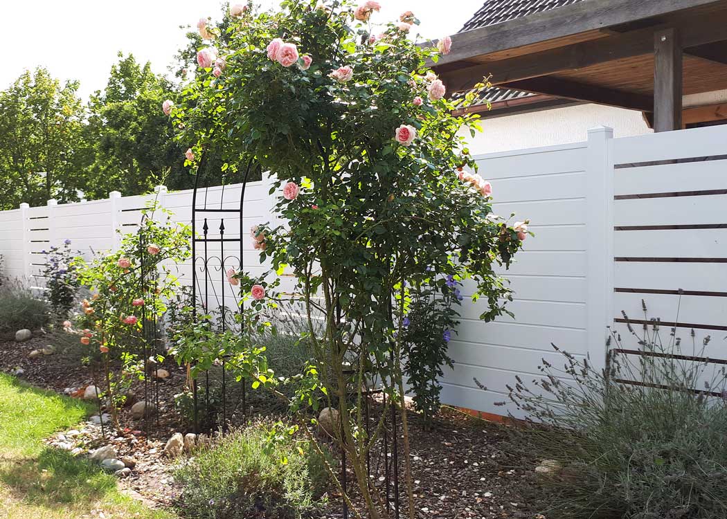 Sichtschutz mit Spaltelemeten, Rhombus-Zaun, in Weiß im Garten