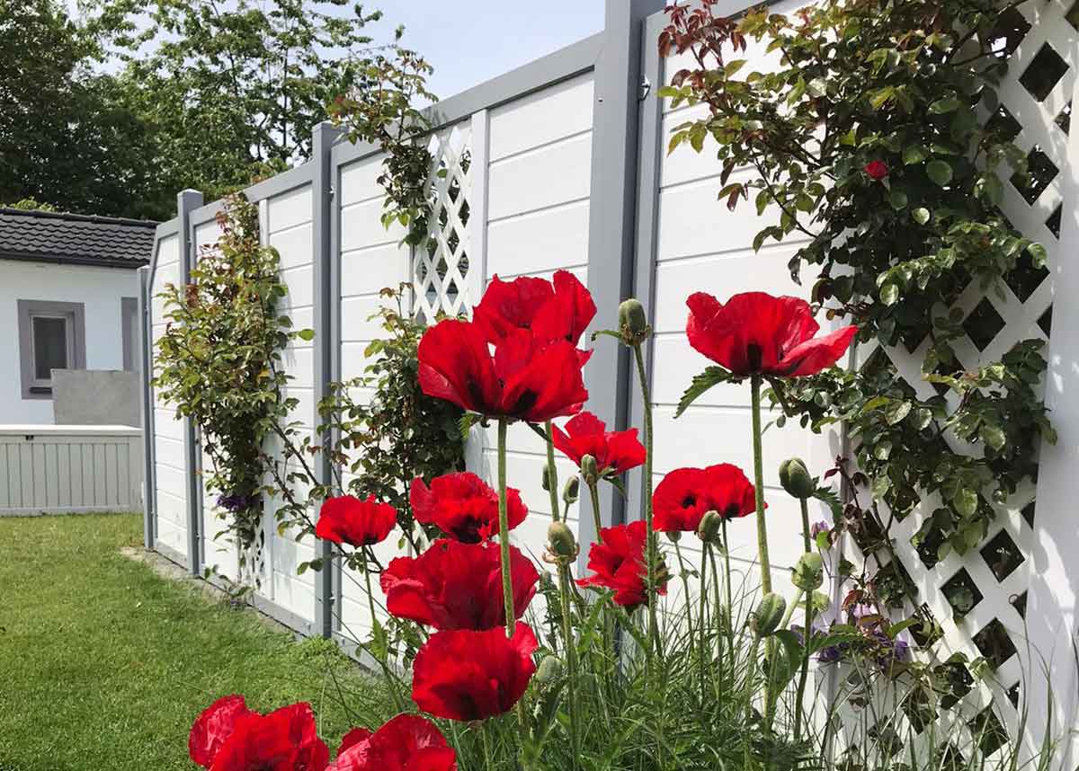 Sichtschutz mit Rankgitter in Weiß Grau, mit Bepflanzung im Landhausstil 