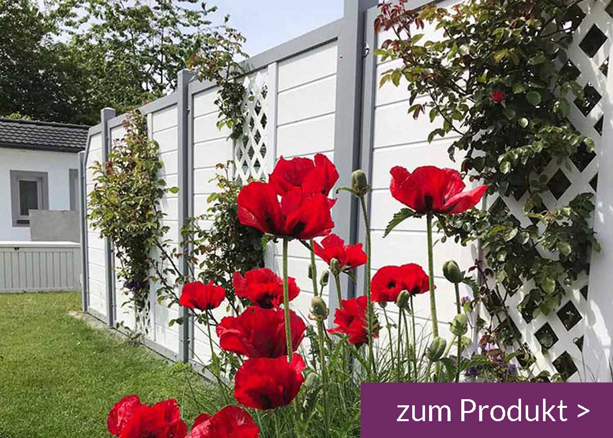 Sichtschutzzaun im Rosen-Garten | Sichtschutzideen